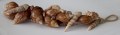 Schelpen hanger bruin 40 cm 800